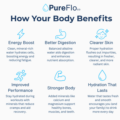 PureFlo Glass Water Filter